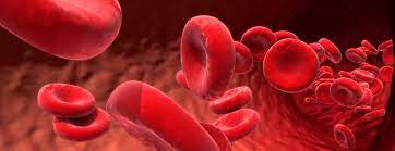 COVID-19 seen to be developing blood clots due to overactive immune response