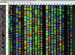 The Gene Sequence Behind COVID?