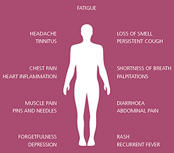 The Cause of Lingering COVID Symptoms?