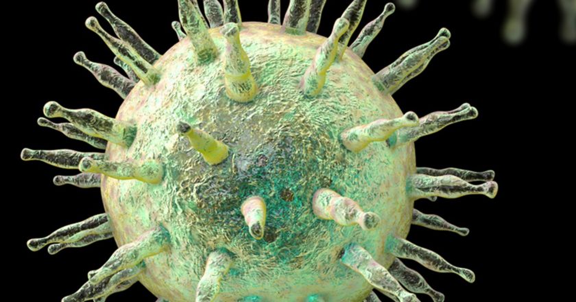 Long-lasting COVID symptoms could be caused by Epstein-Barr virus.