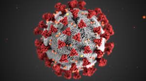 Coronavirus and COVID-19: What you should know